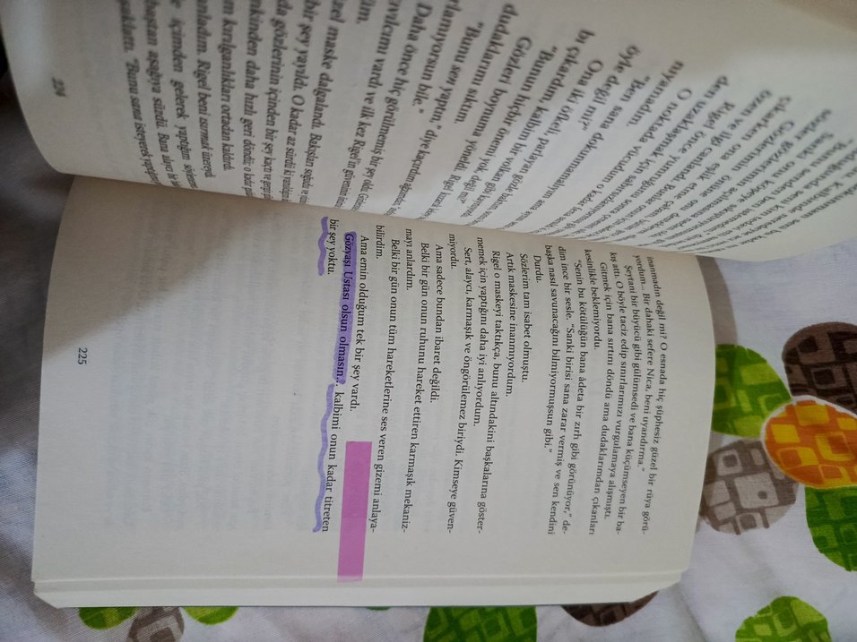 Gözyaşı Ustası - Erin Doom - Görsel 3