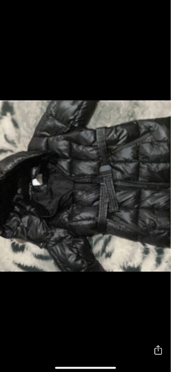 Koton koton mont