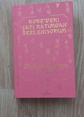 DİDEM DUYGU DEMİR - KORE'DEKİ ÇATI KATIMDAN SESLENİYORUM