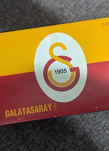 Galatasaray lisanslı kupa 