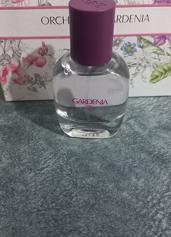 Zara Zara Gardenia Parfum 30 ml
