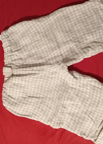 Chicco Cikoby 24,36 Ay erkek çocuk şort, kapri