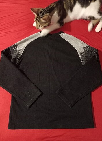 Penti Dagi 4 yaş erkek çocuk sweatshirt