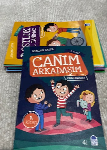 Mavi kirpi Afacan tayfa 1. Sınıf ilk okuma seti (10) Kitap - Görsel 4