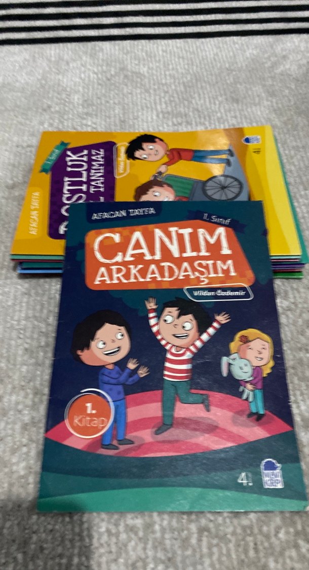 Mavi kirpi Afacan tayfa 1. Sınıf ilk okuma seti (10) Kitap - Görsel 4