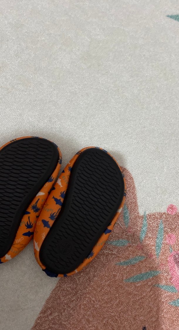 Turuncu deniz ayakkabısı - Görsel 3