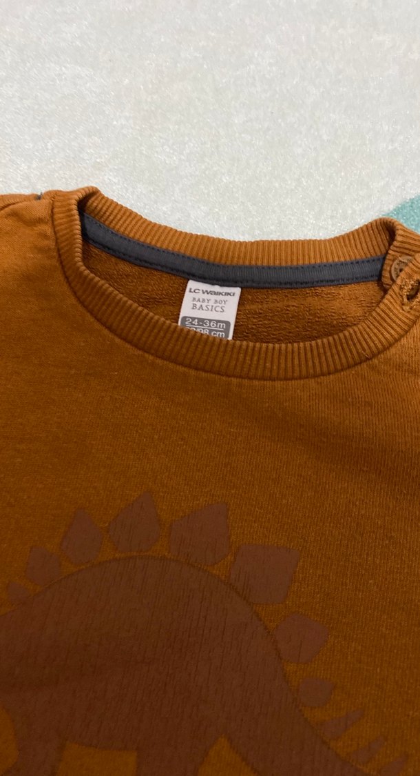 Kahverengi Erkek Çocuk Sweatshirt - Görsel 2