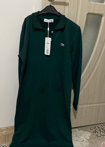 Lacoste 36
