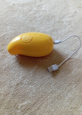  USB ile Şarj Edilen kedi tarağı