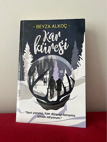 Kar Küresi-Beyza Alkoç