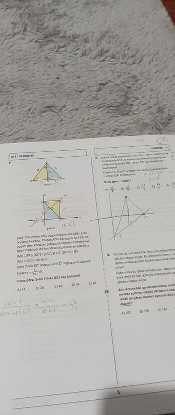 Beden Bilgi Sarmal Geometri Tyt Ayt Denemeleri