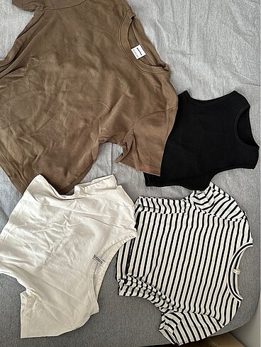Zara zara crop