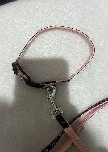 Pembe ve Siyah Köpek Tasması - Görsel 4