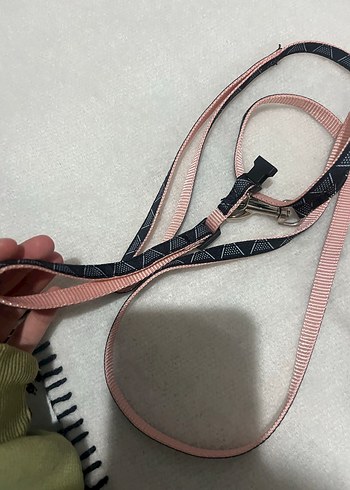 Pembe ve Siyah Köpek Tasması - Görsel 3