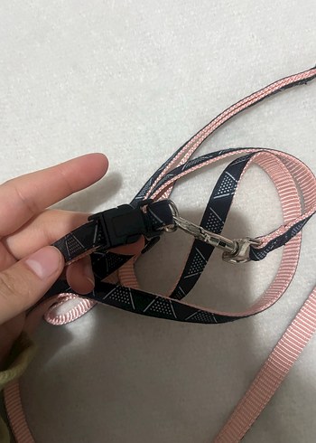 Pembe ve Siyah Köpek Tasması - Görsel 2