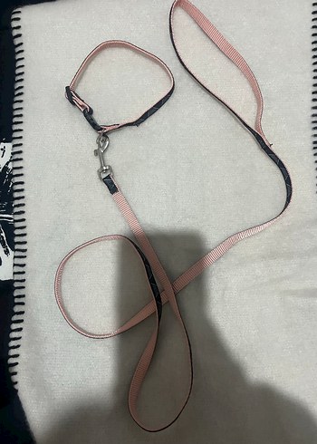 Pembe ve Siyah Köpek Tasması - Görsel 5