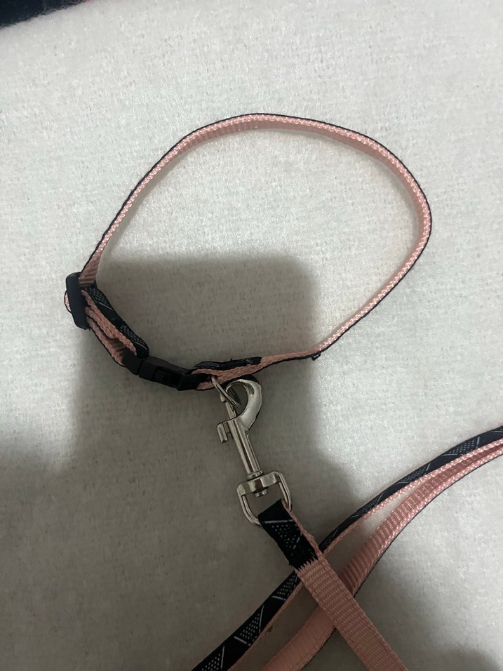 Pembe ve Siyah Köpek Tasması - Görsel 4