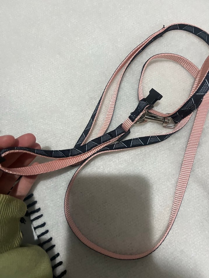 Pembe ve Siyah Köpek Tasması - Görsel 3