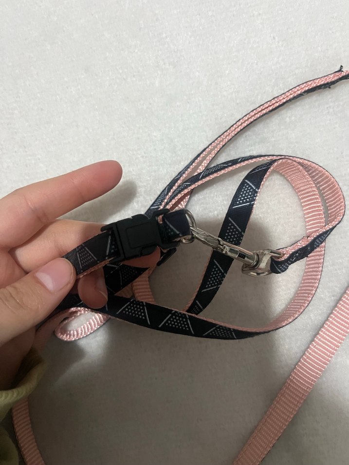 Pembe ve Siyah Köpek Tasması - Görsel 2