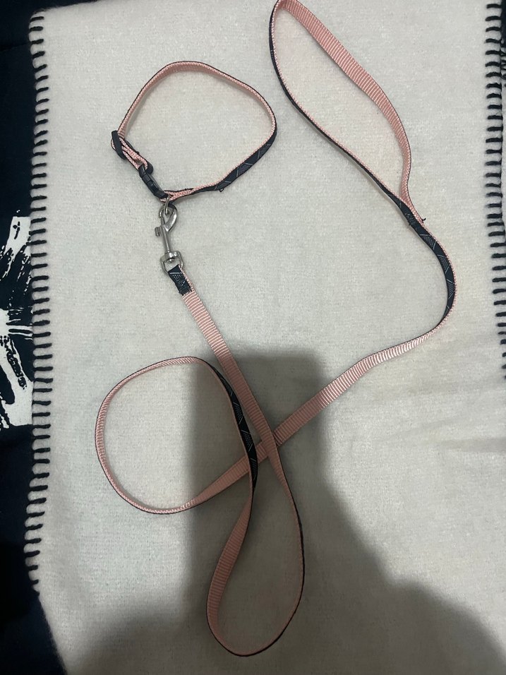 Pembe ve Siyah Köpek Tasması - Görsel 5