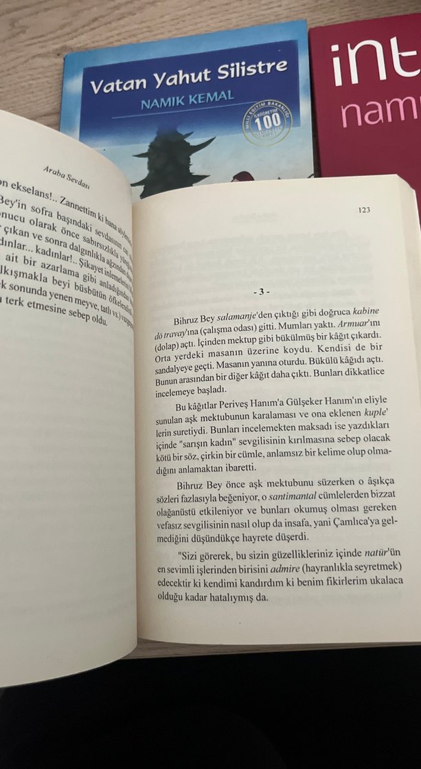 Türk Klasikleri Roman Seti - Görsel 2