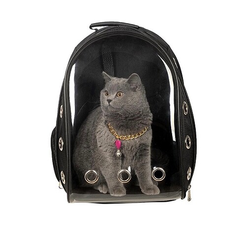 Kırılmaz, şeffaf ,kedi ,köpek taşıma çantası