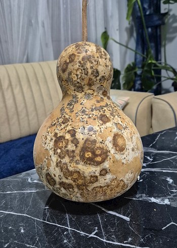 Bej Renkli Kuru Kabak Figürin - Görsel 2