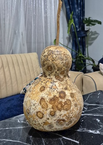 Bej Renkli Kuru Kabak Figürin - Görsel 3