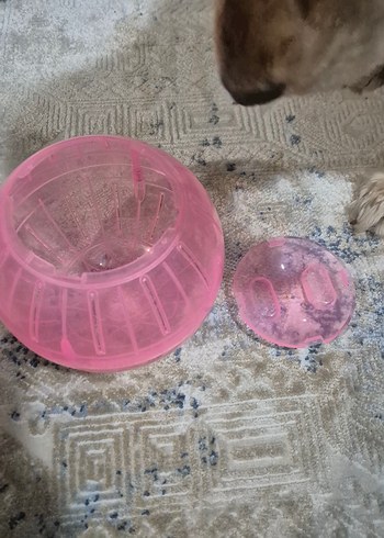 Pembe Hamster egzersiz Topu - Görsel 3