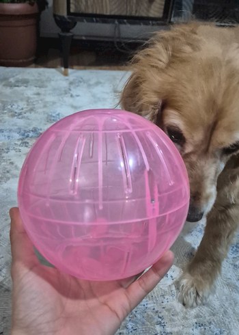 Pembe Hamster egzersiz Topu - Görsel 2
