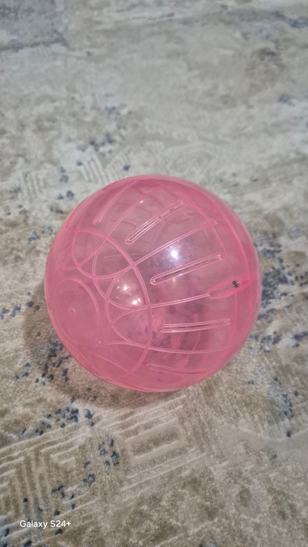 Pembe Hamster egzersiz Topu - Görsel 4