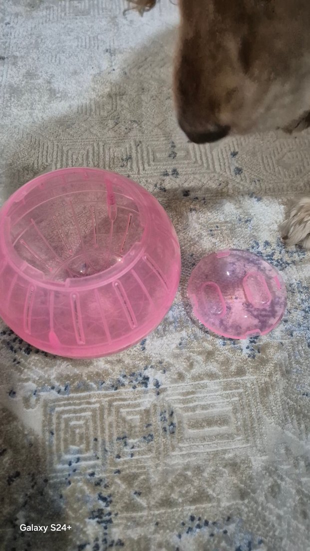 Pembe Hamster egzersiz Topu - Görsel 3