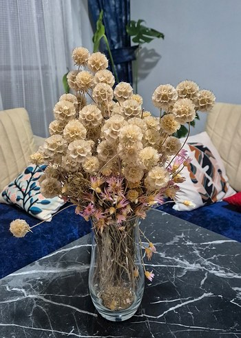 Cam Vazo ve Kuru Çiçekler - Görsel 2