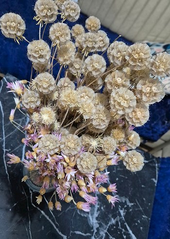 Cam Vazo ve Kuru Çiçekler - Görsel 3