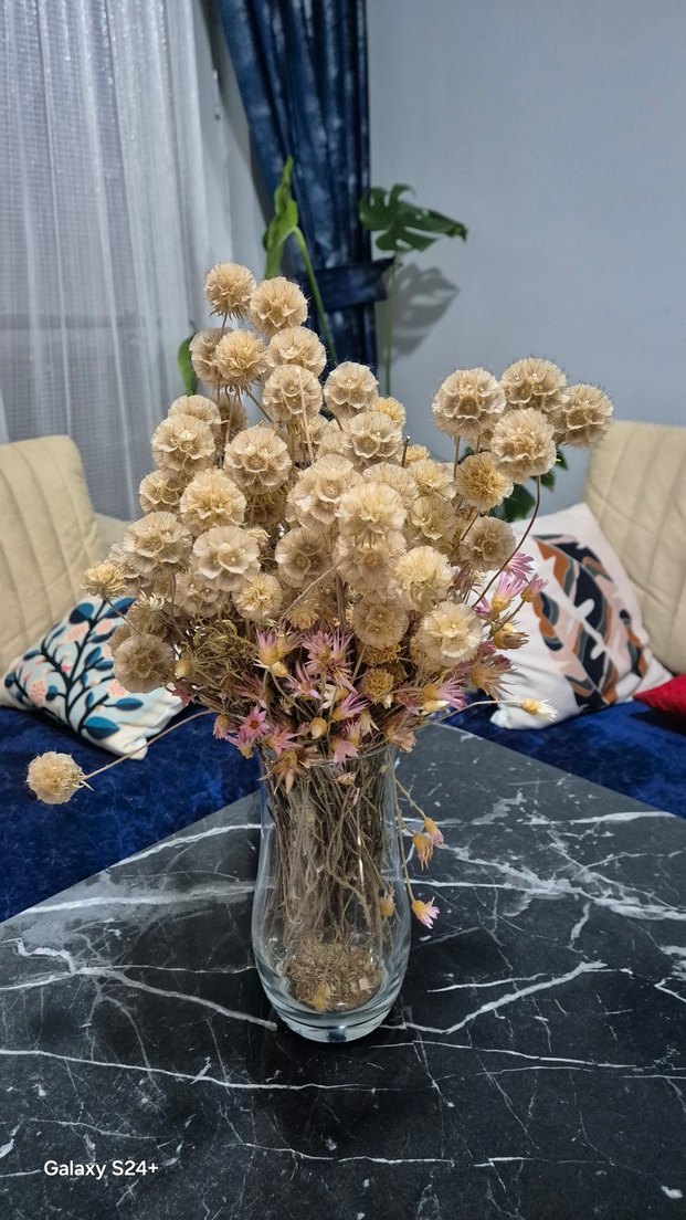 Cam Vazo ve Kuru Çiçekler - Görsel 2