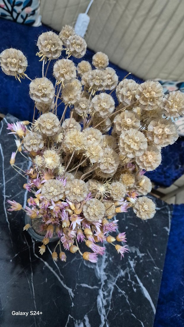 Cam Vazo ve Kuru Çiçekler - Görsel 3