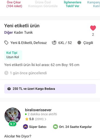2K Nakışlı V Yaka Uzun Kollu Bohem Tunik