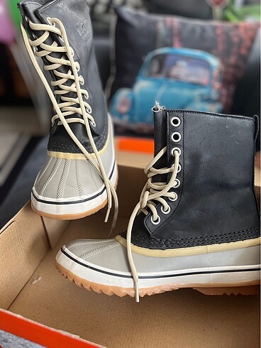 Sorel Sorel Bot