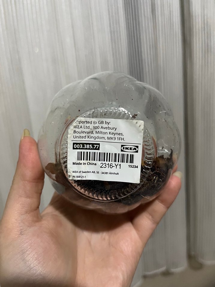 Bej ve Gri Cam Vazo - Görsel 2