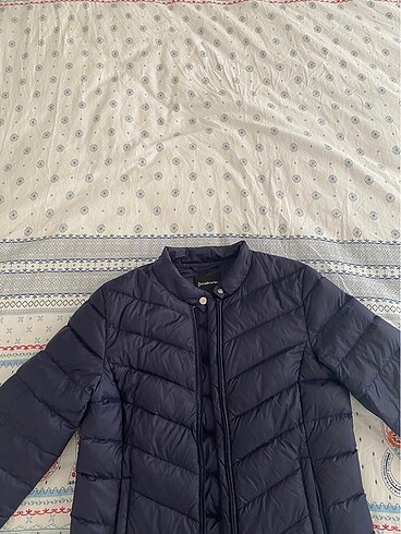 Stradivarius mont