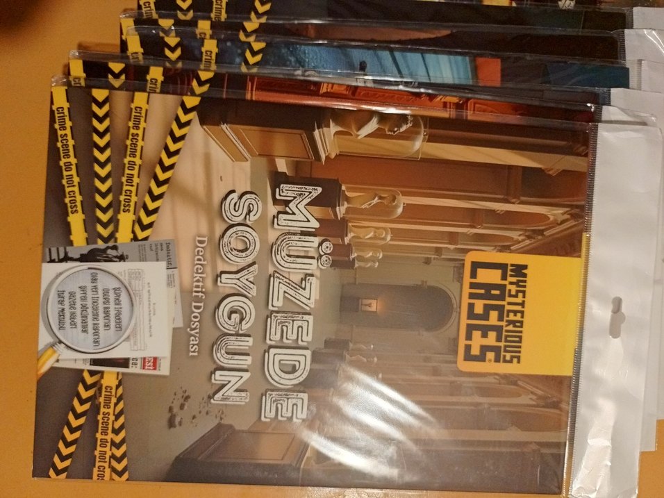 Müzede Soygun - Dedektif Dosyası. aktivite - Görsel 3