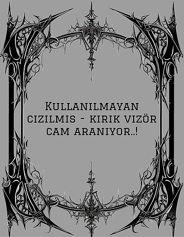 Vizör