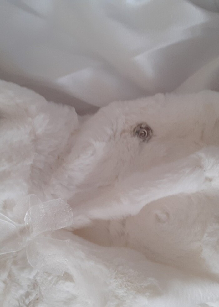 Beyaz bebek kürk - Görsel 5