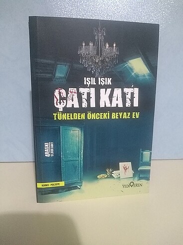Tünelden Önceki Beyaz Ev 3