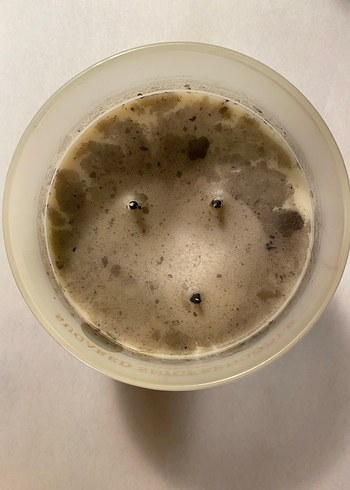 Sugared Snickerdoodle Mum - Görsel 4