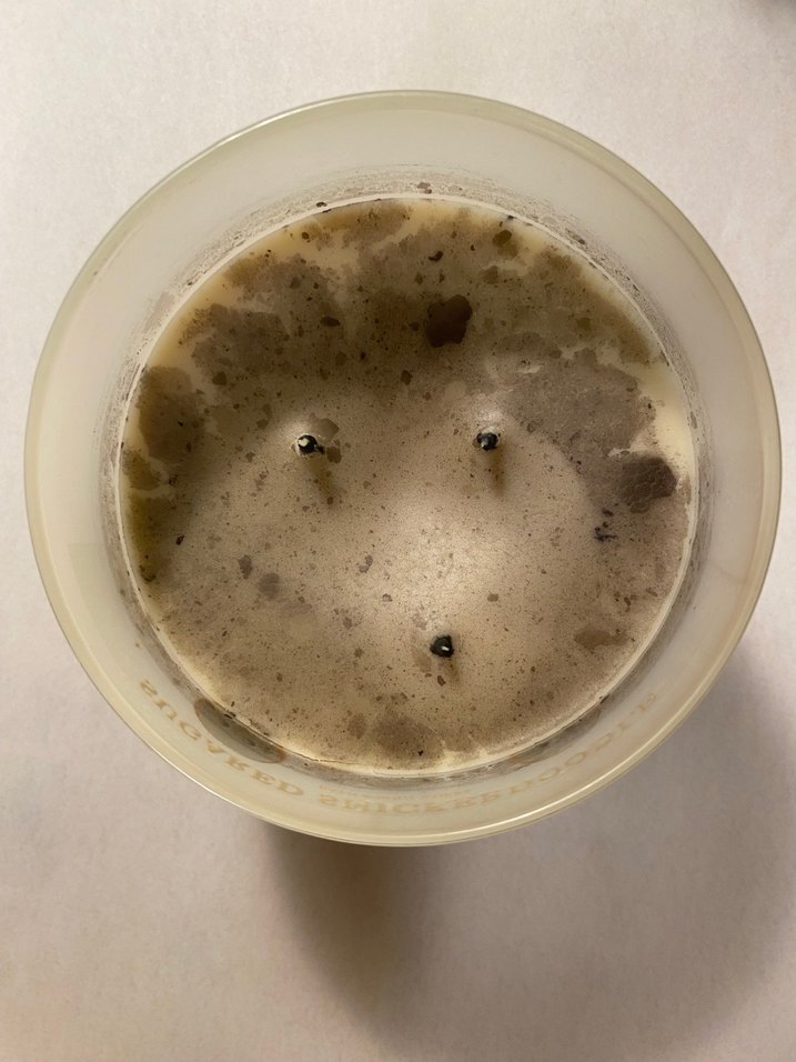 Sugared Snickerdoodle Mum - Görsel 4