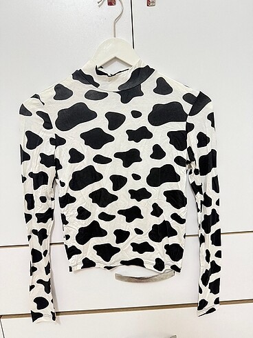 Zebra badi
