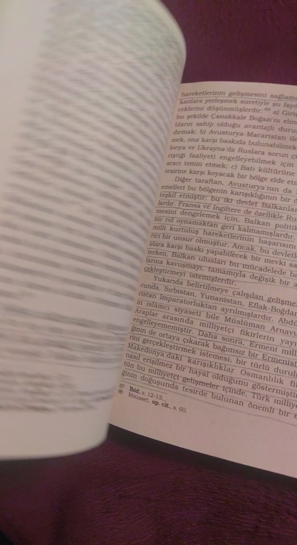 Türk Milliyetçiliğinin Doğuşu Kitabı - Görsel 4