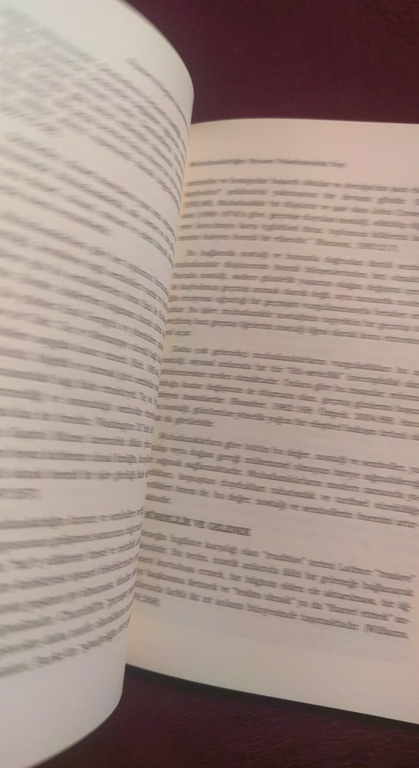 Siyaset Felsefesi Açısından Muhafazakârlık - Görsel 5