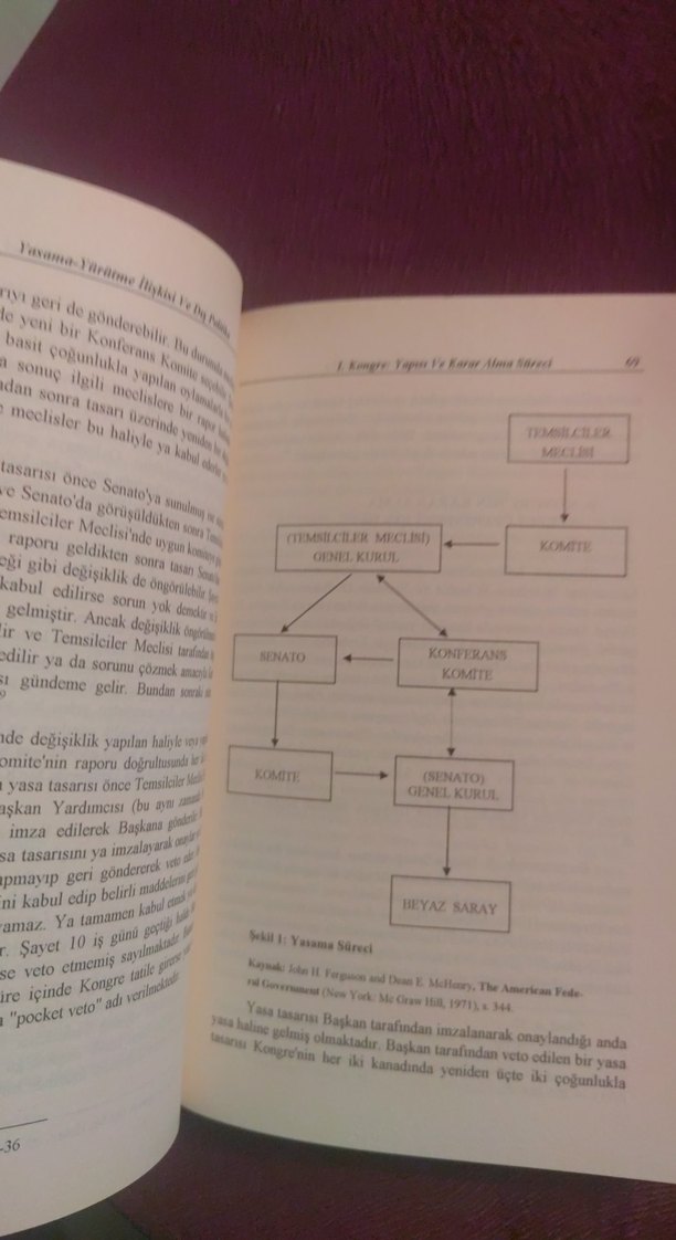 Amerika'da Siyasi Yapı: Lobiler ve Dış Politika - Görsel 4